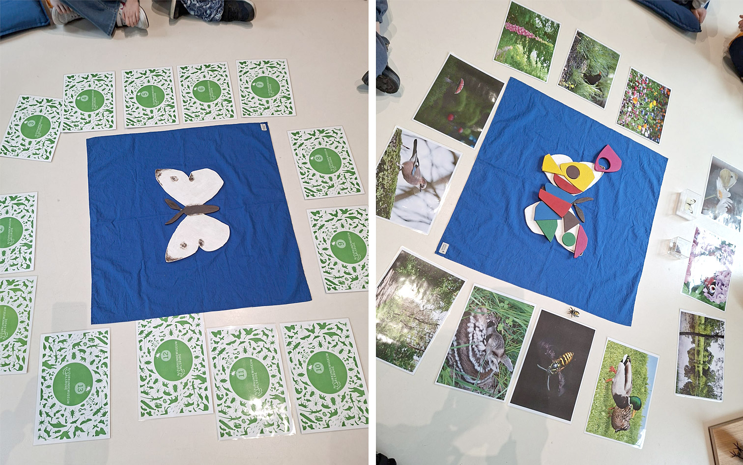 Bild  Naturkundemuseum