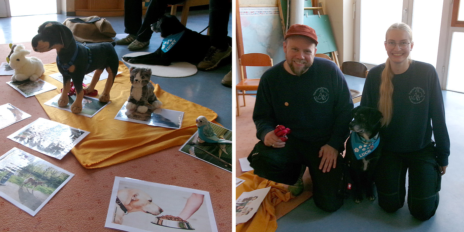 Bild  Tierheimbesuch